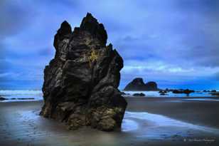 Moonstone Beach-9423